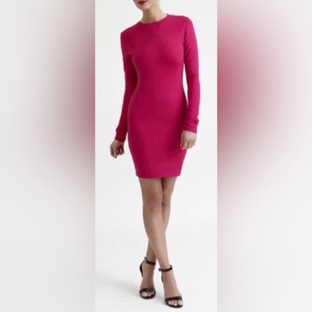 NWT Kittenish Long Sleeve Pink Fitted Dress